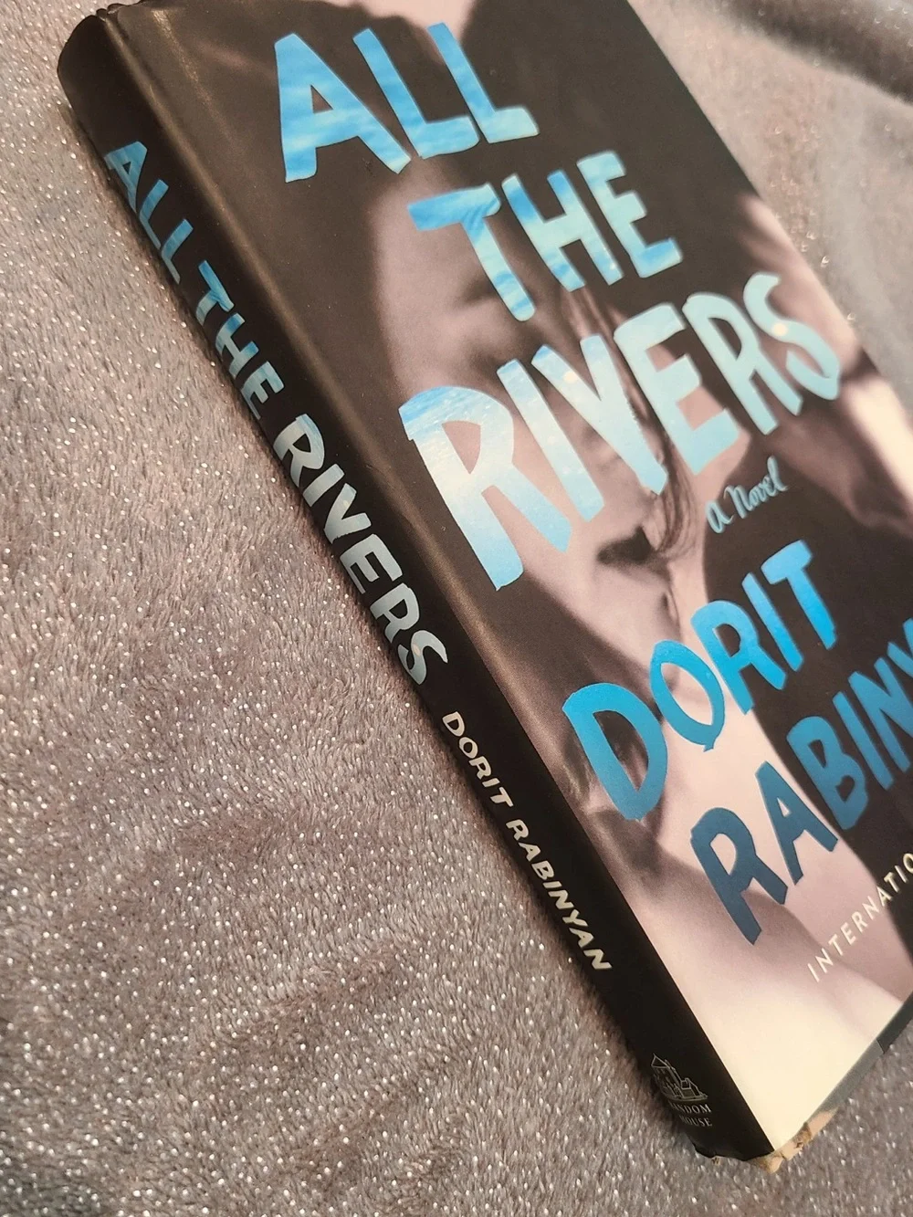 All the Rivers by Dorit Rabinyan Book - Picture 2 of 4